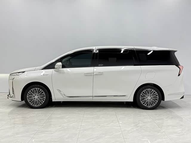 Buick GL8 Hybrid, 2025 — фото 2 из 9