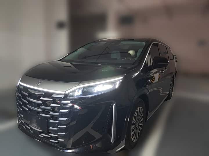 BYD Xia, 2024 — купить в Москве под ключ