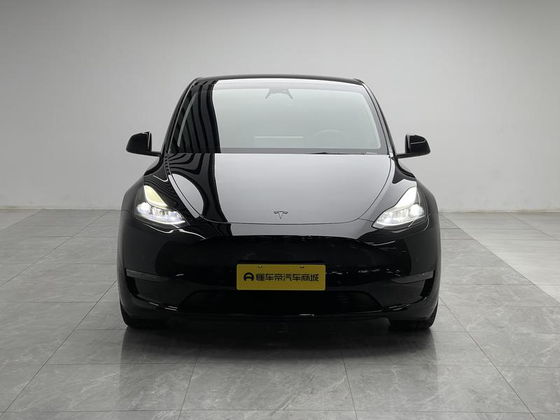 Tesla Model Y, 2022 — фото 2 из 12