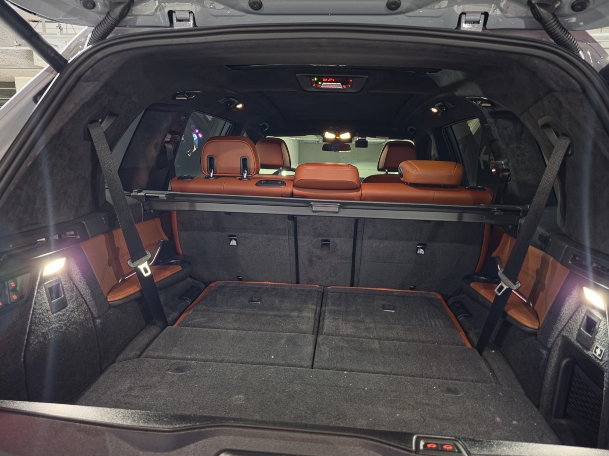 BMW X7, 2025 — фото 9 из 9