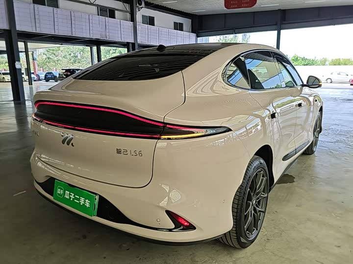 IM motors LS6, 2023 — фото 7 из 9