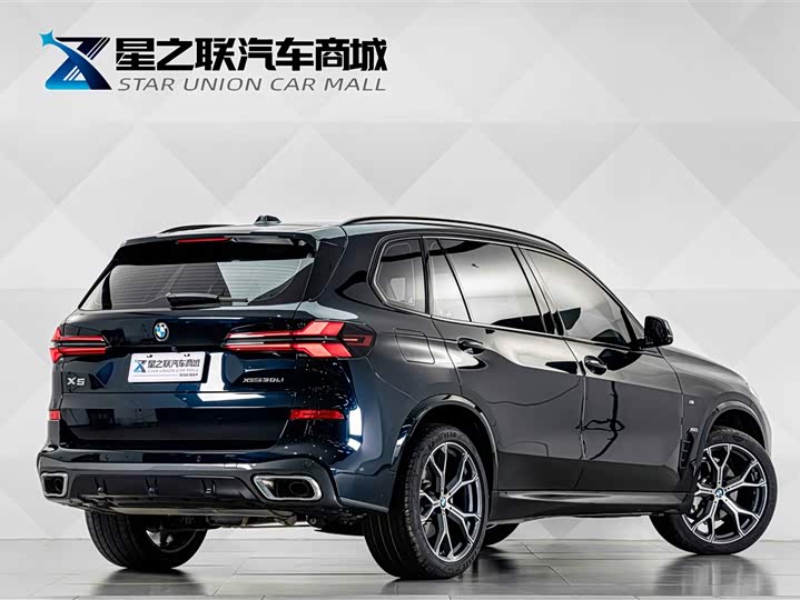 BMW X5, 2025 — фото 6 из 9