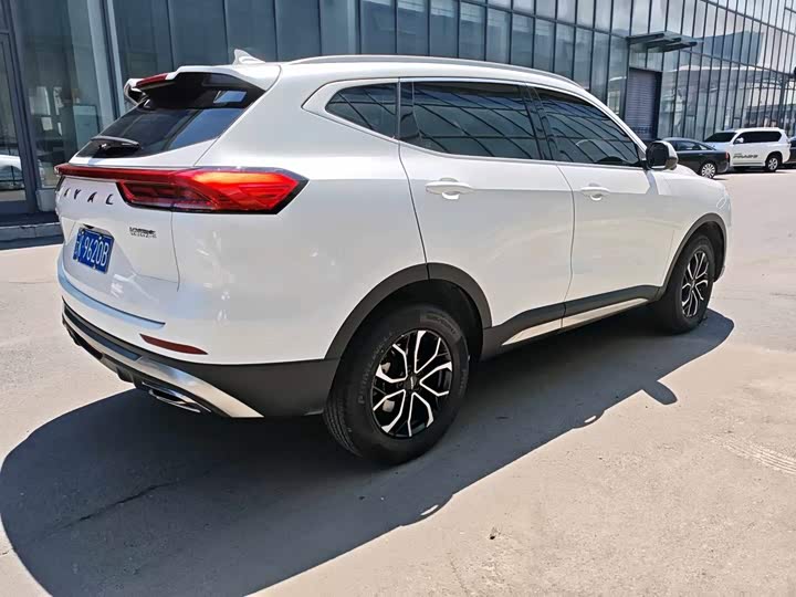 Haval H6, 2023 — фото 5 из 9