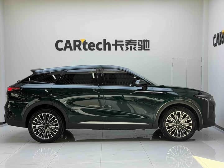 Exeed RX C-DM Hybrid, 2024 — фото 6 из 9