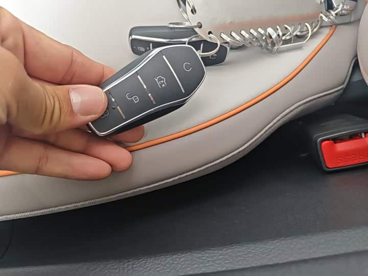 BYD Song Pro Hybrid, 2024 — фото 9 из 9