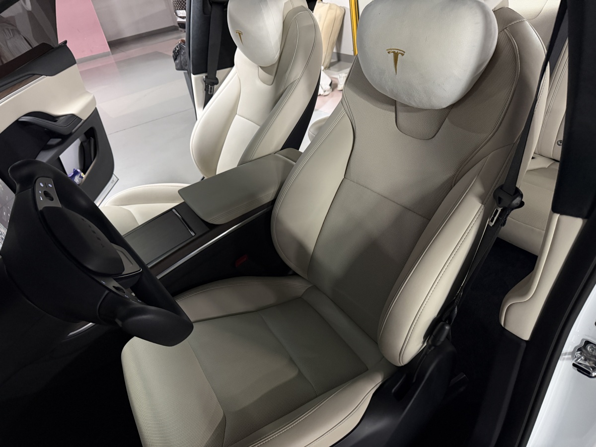 Tesla Model X, 2023 — фото 9 из 11