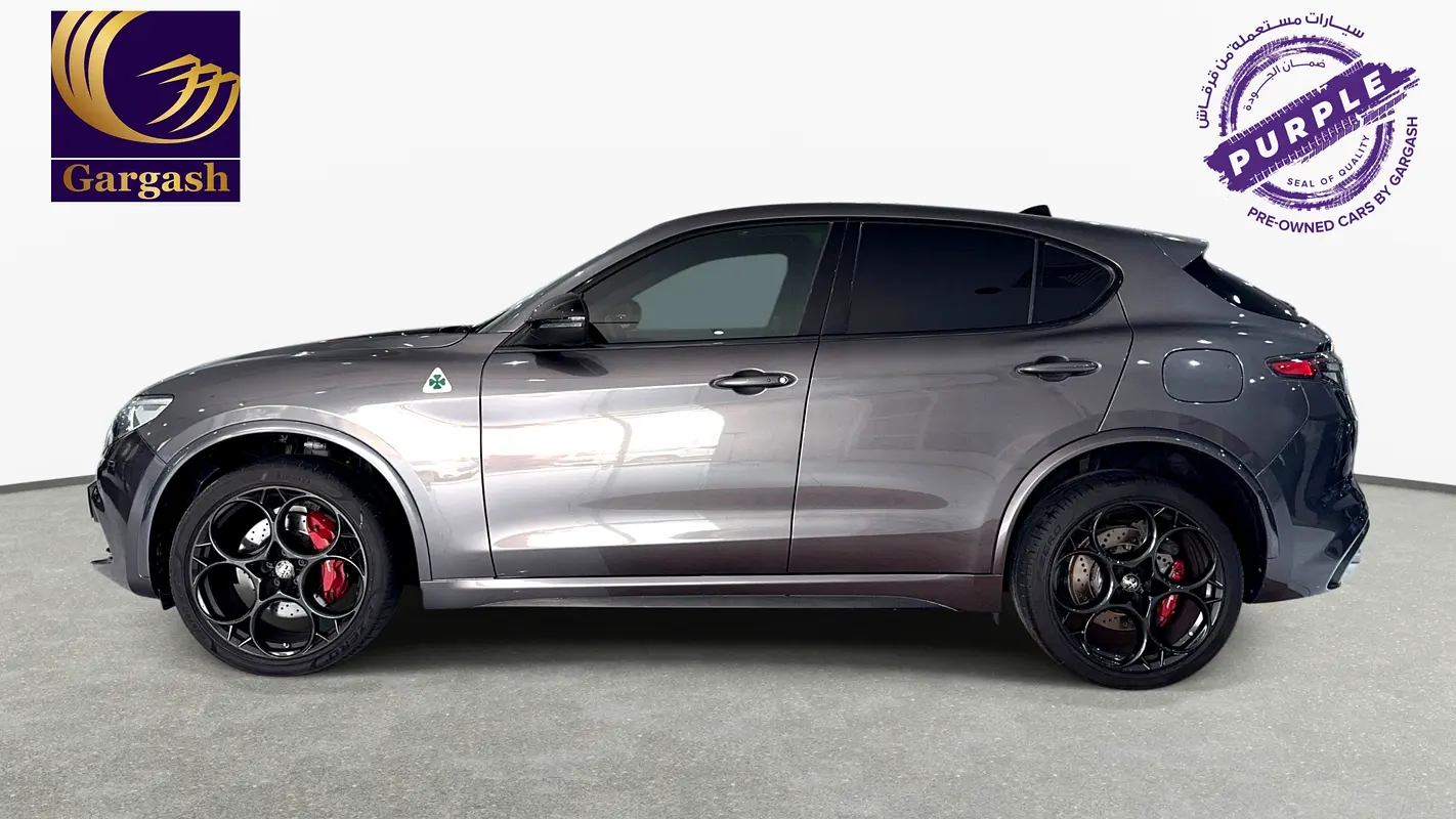 Alfa Romeo Stelvio, 2023 — фото 3 из 10