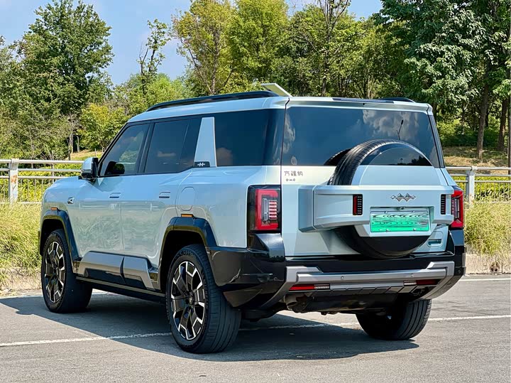 BYD FangChengBao Leopard 8, 2024 — фото 7 из 9