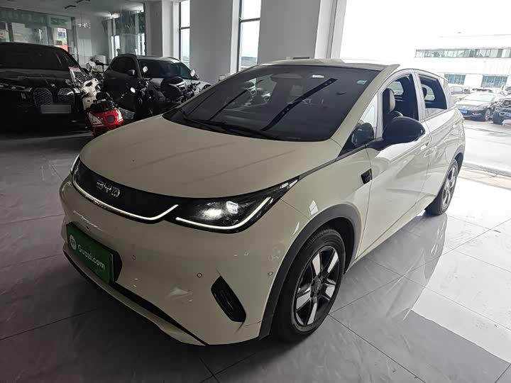 BYD Dolphin, 2025 — купить в Самаре под ключ