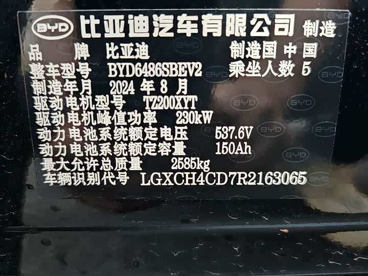 BYD Sea Lion 07 EV, 2024 — фото 7 из 9