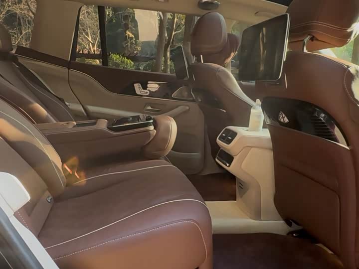 Mercedes-Benz GLS-Class, 2023 — фото 12 из 12