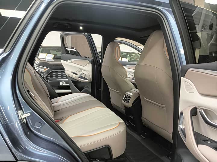 BYD Song Pro Hybrid, 2024 — фото 8 из 9