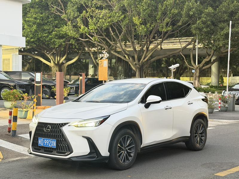 Lexus NX, 2022 — купить в Самаре под ключ