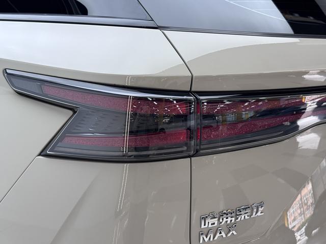 Haval Ruge Max, 2025 — фото 10 из 12
