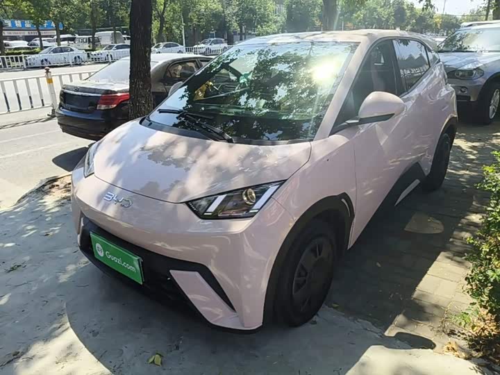 BYD Seagull, 2025 — купить в Пензе под ключ