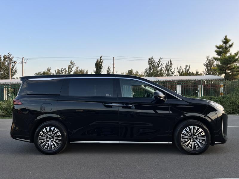 BYD M9, 2025 — фото 8 из 12