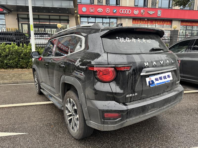 Haval H-Dog, 2024 — фото 3 из 9