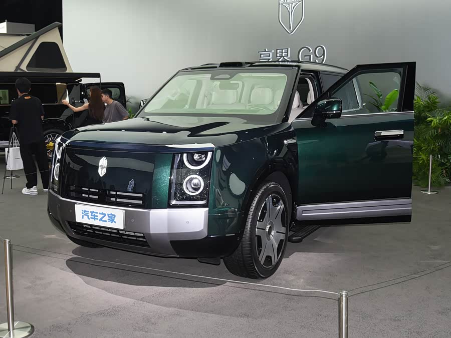 Stelato G9, 2026 — купить в Саратове под ключ