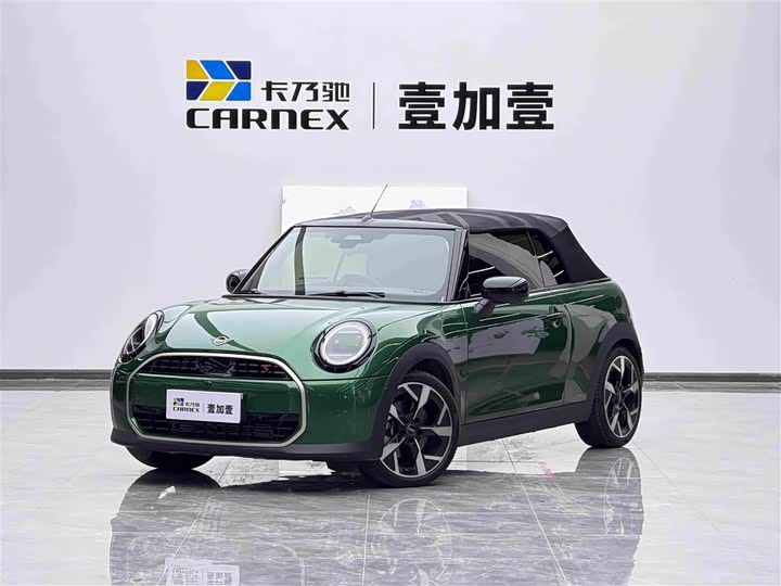 Mini Mini, 2025 — купить в Пензе под ключ