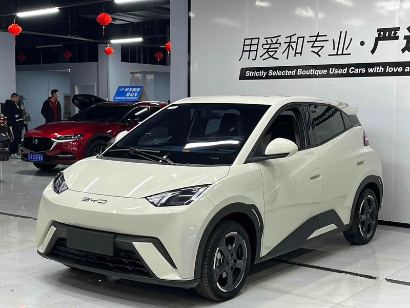 BYD Seagull, 2023 — купить в Самаре под ключ