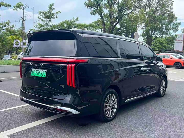 Wey 80 Hybrid, 2025 — фото 5 из 9