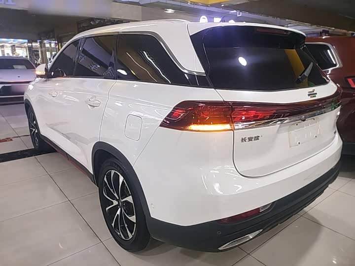 Changan Oshan X7 Plus, 2023 — фото 5 из 9