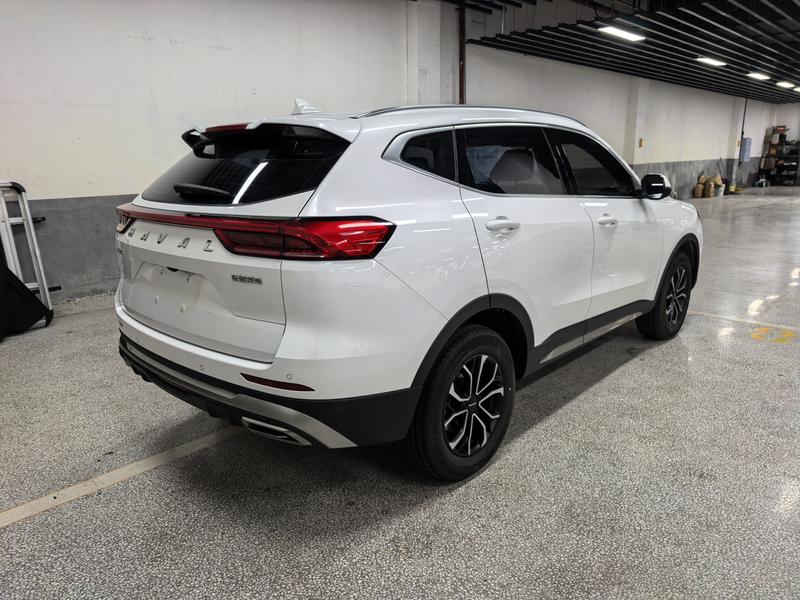 Haval H6, 2021 — фото 6 из 12