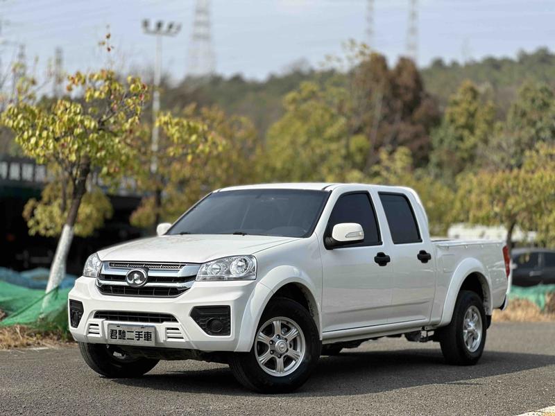 Great Wall Wingle 5, 2021 — купить в Орле под ключ