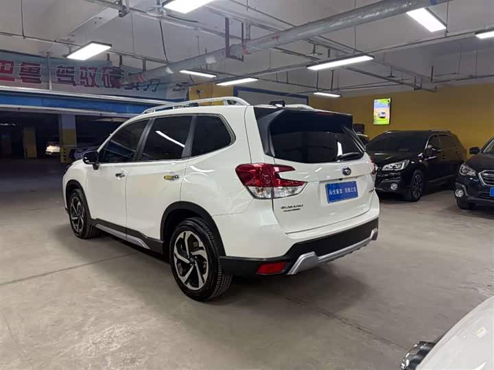 Subaru Forester, 2023 — фото 6 из 9