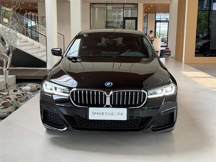 BMW 5 Series Hybrid, 2022 — фото 8 из 9