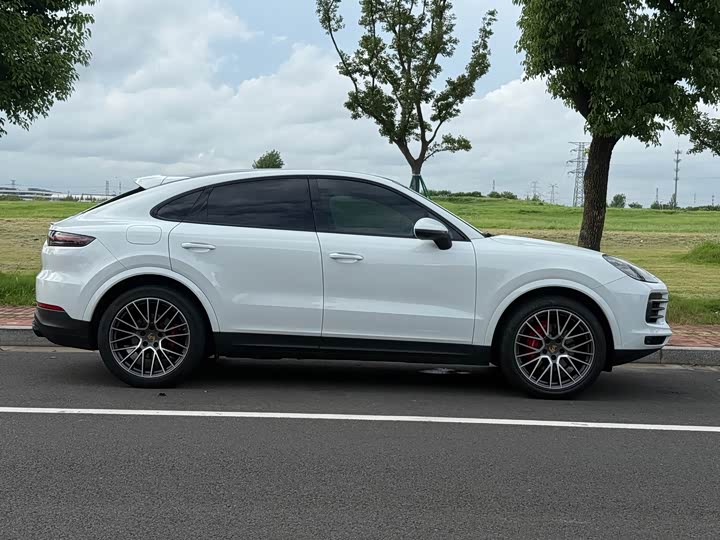 Porsche Cayenne, 2022 — фото 5 из 9