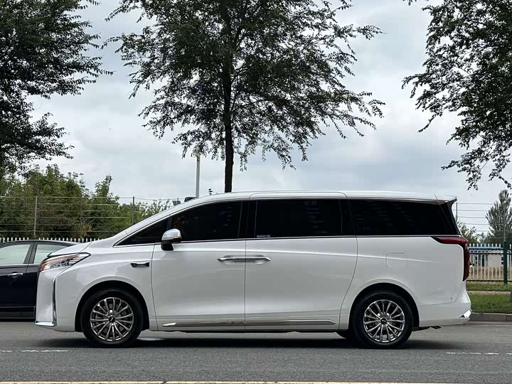 Wey 80 Hybrid, 2025 — фото 7 из 9