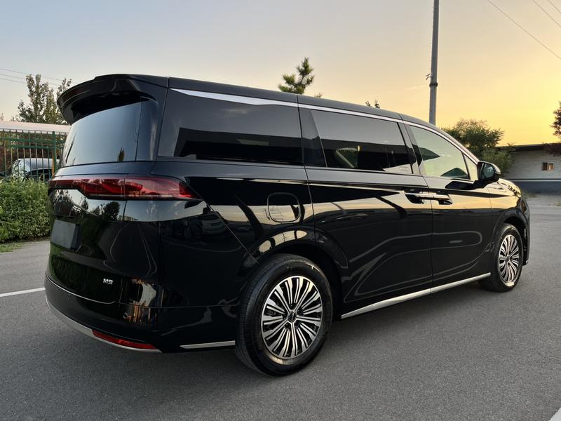 BYD M9, 2025 — фото 7 из 12