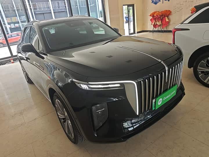 Hongqi E-HS9, 2023 — фото 4 из 9