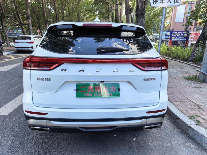 Haval H6, 2023 — фото 4 из 9