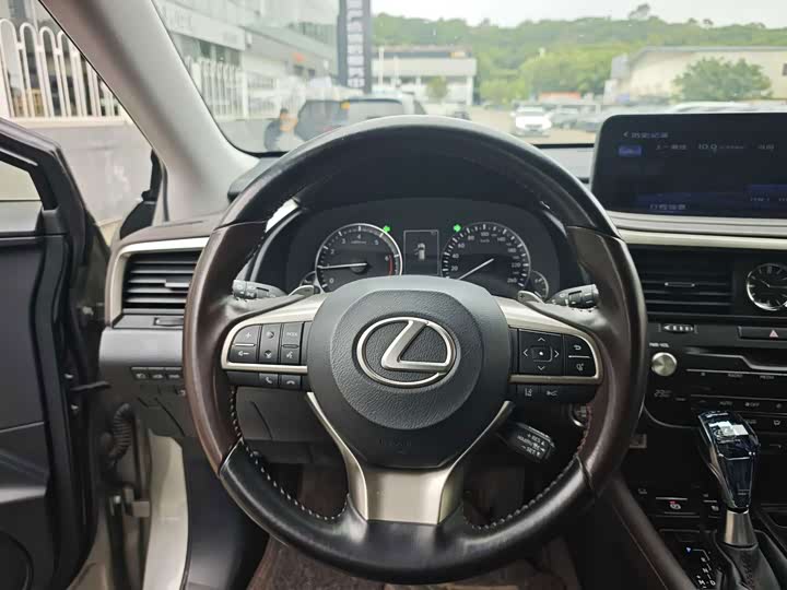 Lexus RX, 2022 — фото 9 из 9