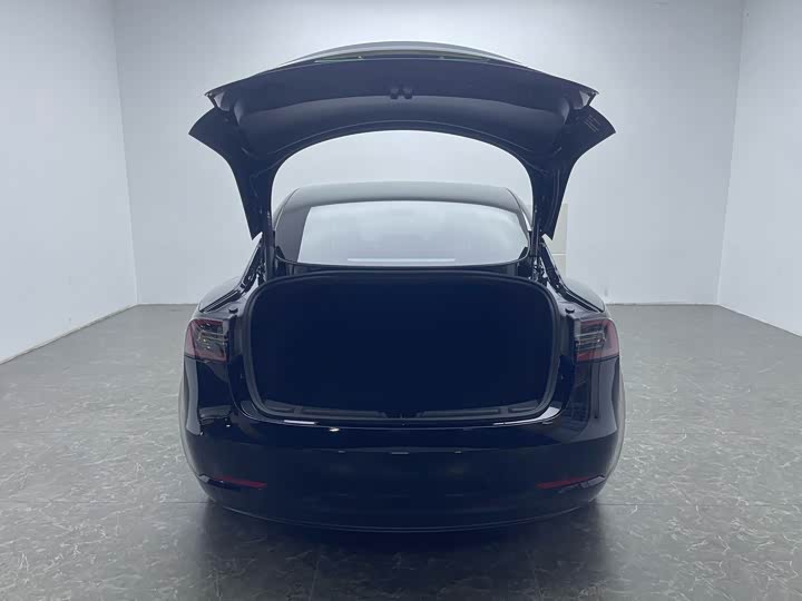 Tesla Model 3, 2021 — фото 7 из 9