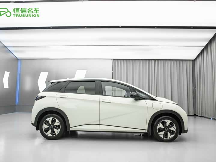 BYD Dolphin, 2024 — фото 7 из 9