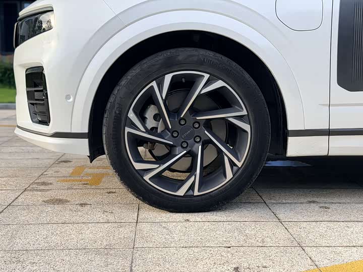 Lynk & Co 09 EM-P Hybrid, 2022 — фото 8 из 9