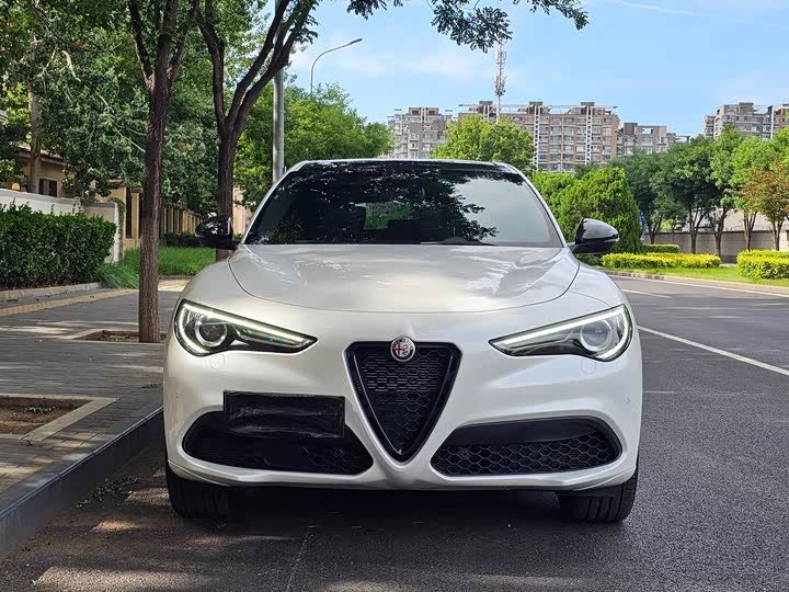 Alfa Romeo Stelvio, 2022 — фото 2 из 9