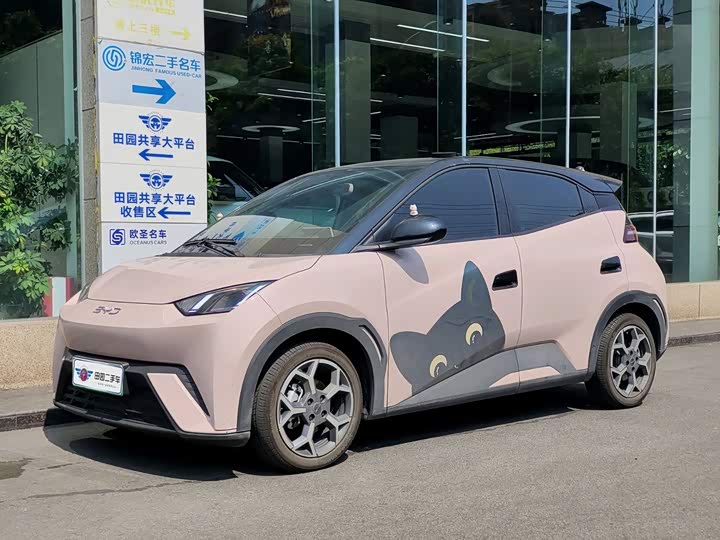 BYD Seagull, 2024 — купить в Белгороде под ключ