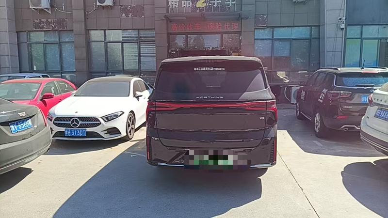 Dongfeng Forthing Xinghai V9, 2024 — фото 4 из 11