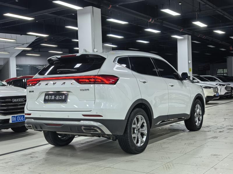 Haval H6, 2022 — фото 7 из 12