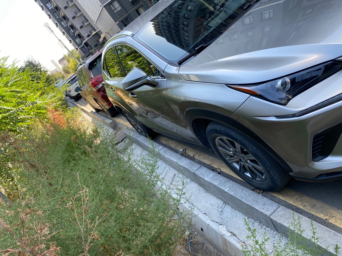 Lexus NX, 2021 — фото 2 из 12