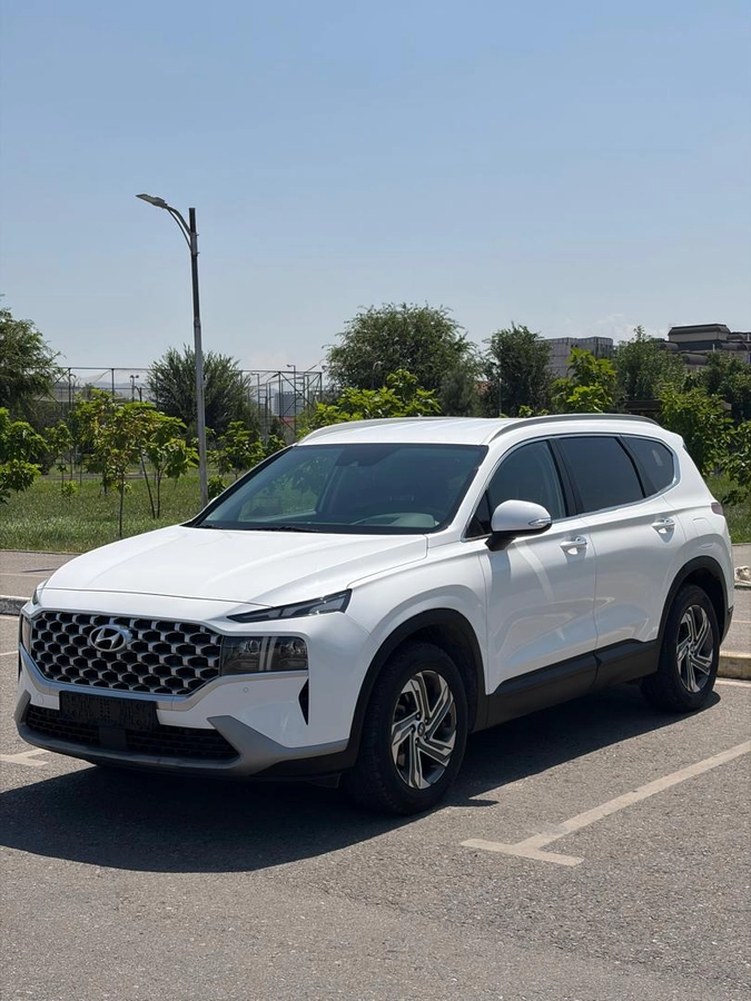 Hyundai Santa FE, 2021 — фото 2 из 8