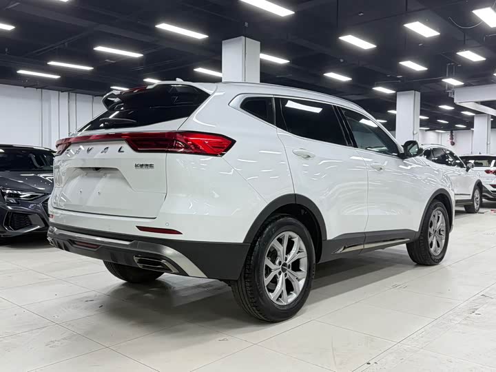 Haval H6, 2022 — фото 4 из 9