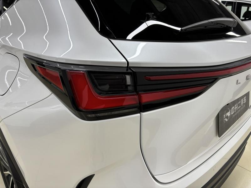 Lexus NX, 2023 — фото 6 из 12