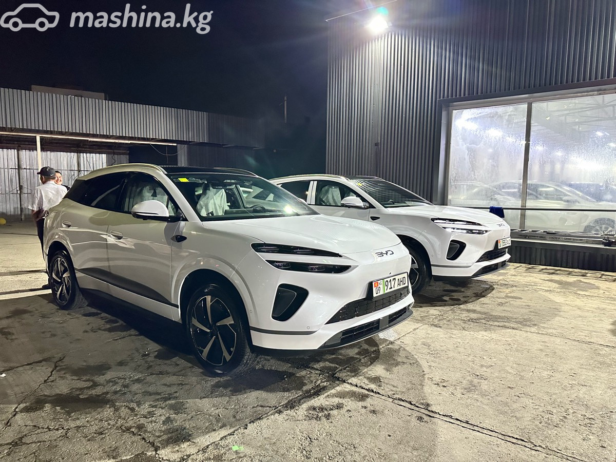 BYD SEA Lion 06, 2026