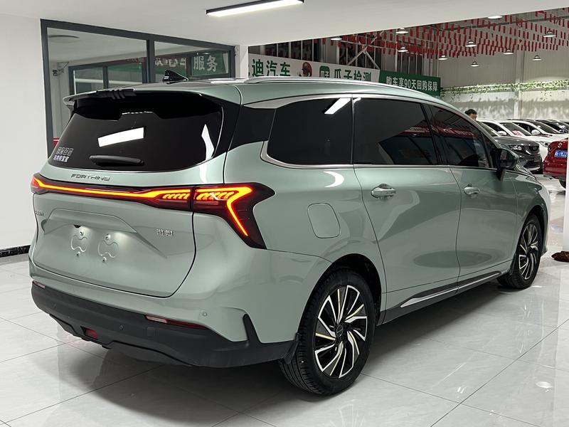 Dongfeng Forthing Yacht, 2023 — фото 6 из 12