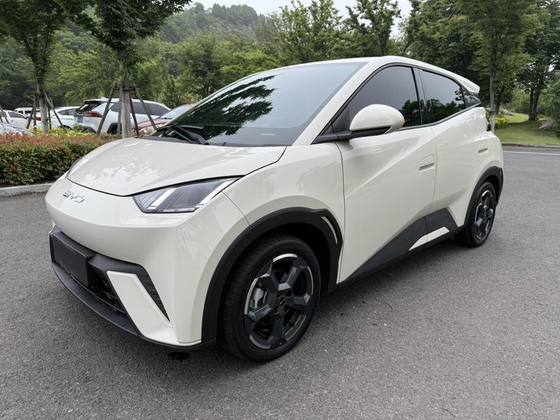 BYD Seagull, 2023 — купить в Самаре под ключ